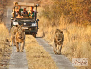 Morokolo Safari Lodge